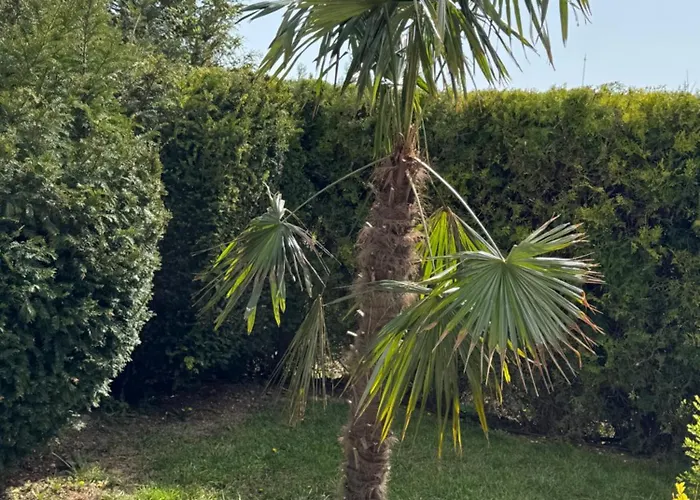 Casa de hóspedes Villa Holiday Balchik