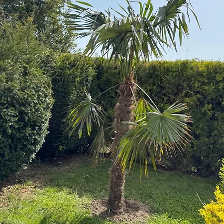 Pensiune Villa Holiday Balcic